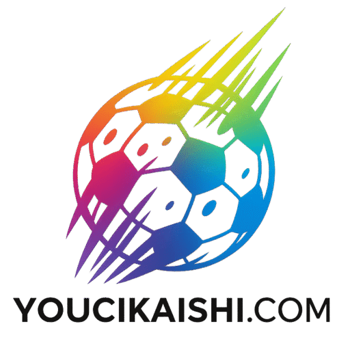 youcikaishi.com